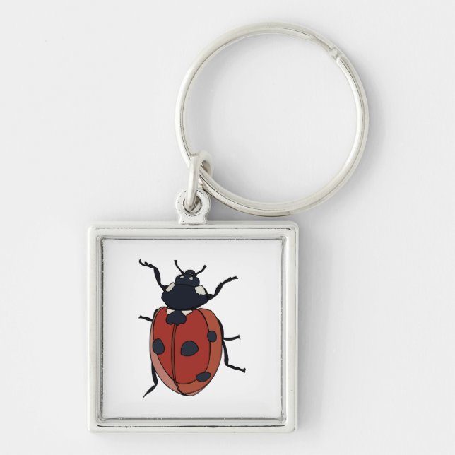 Beetles Insect Ladybug Beetles Key Ring (Front)