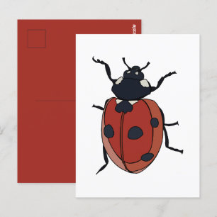 Beetles Insect Ladybug Beetles Postcard