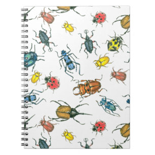 Beetles Notebook