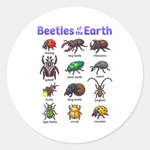 Beetles Of The Earth Cute Kawaii Bugs Insect T-shi Classic Round Sticker