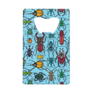Beetles on blue