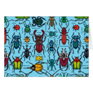 Beetles on blue