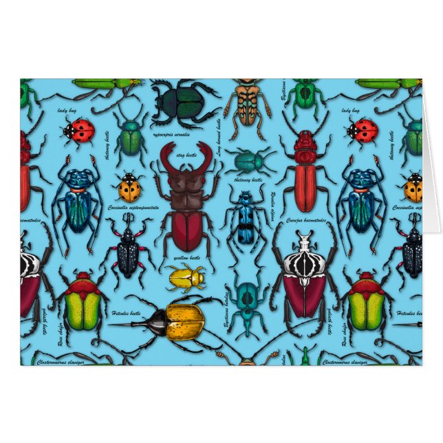 Beetles on blue (Front Horizontal)