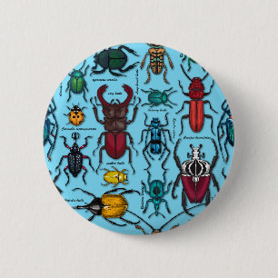 Beetles on blue 6 cm round badge