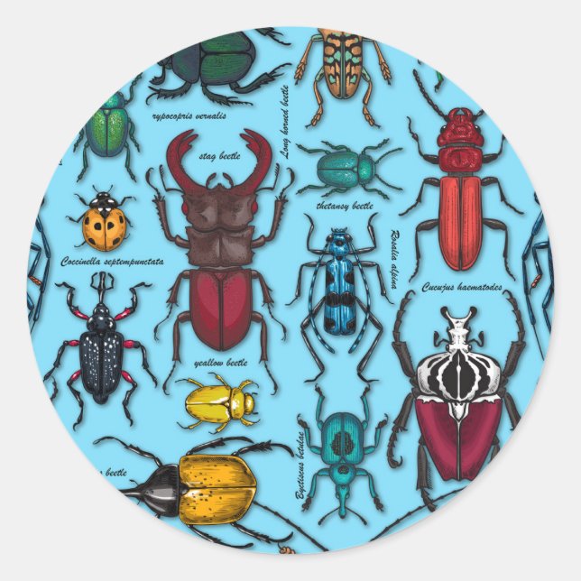 Beetles on blue classic round sticker (Front)