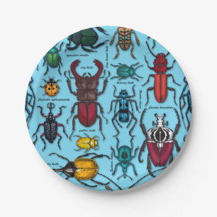 Beetles on blue paper plate