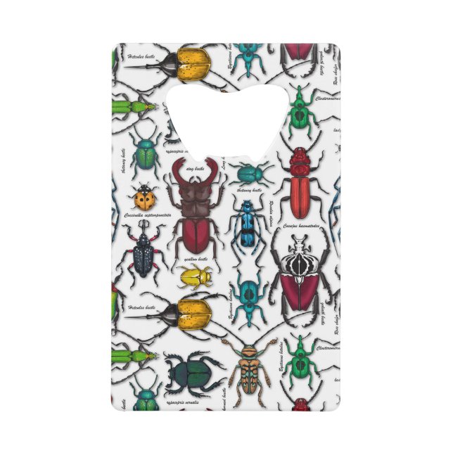 Beetles on white (Front)