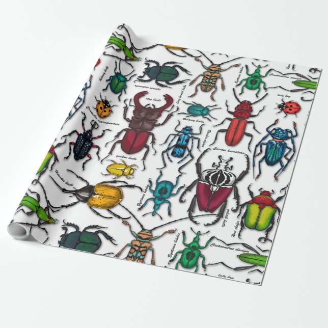 Beetles on white wrapping paper (Unrolled)