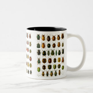 Beetles Two-Tone Coffee Mug
