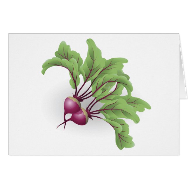 Beetroot illustration (Front Horizontal)
