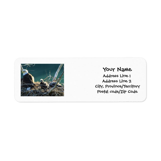 BEF Bald Eagle Family Return Address Label (Front)