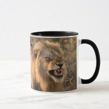 Before and After Coffee LION Personalise Name