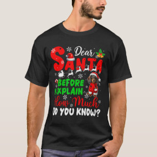 Before I Explain How Much You Know Xmas Dachshund  T-Shirt