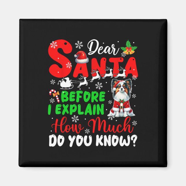 Before I Explain How Much You Know Xmas Papillon O Magnet (Front)