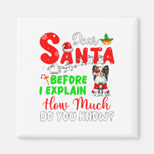 Before I Explain How Much You Know Xmas Papillon O Magnet