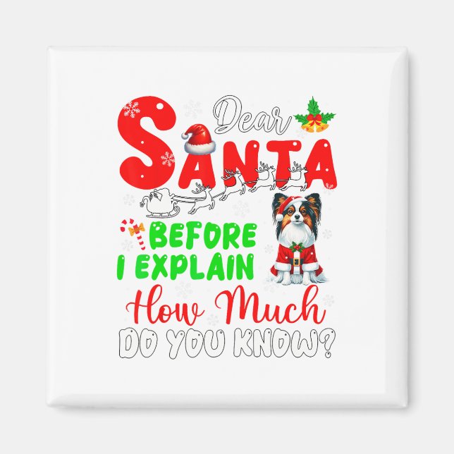 Before I Explain How Much You Know Xmas Papillon O Magnet (Front)