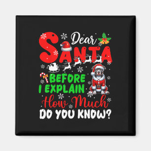 Before I Explain How Much You Know Xmas Pit Bull O Magnet