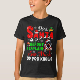 Before I Explain How Much You Know Xmas Rottweiler T-Shirt