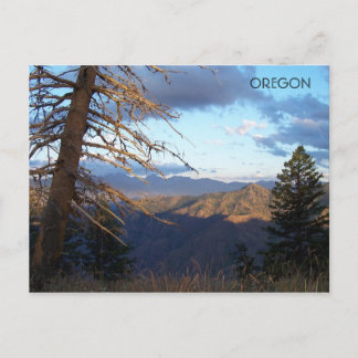 Before it's Hotter Than... Postcard