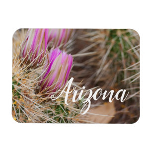 Before the blooms, Arizona Magnet