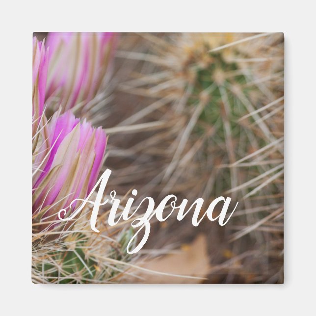 Before the blooms, Arizona Magnet (Front)