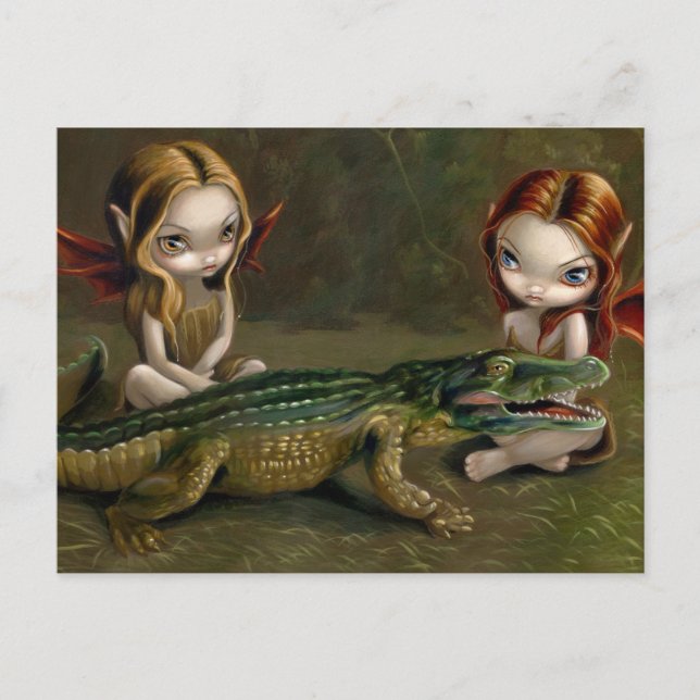 "Befriending an Alligator" Postcard (Front)