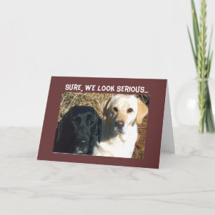 BEG FOR TREATS SOON WELL WISHES CARD