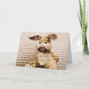 Beggar Bunny, Funny Easter Rabbit Card