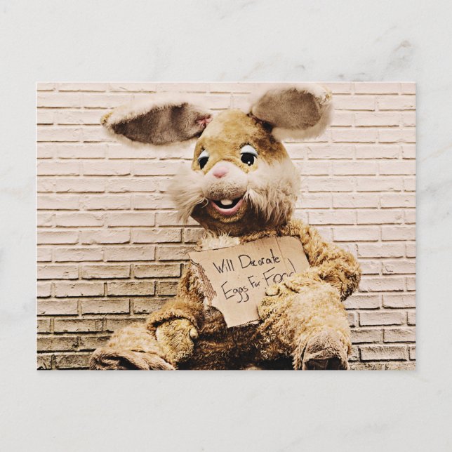 Beggar Bunny,Rabbit Suit, Funny Postcard (Front)