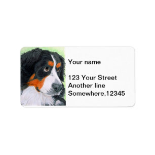 Begging Bernese Label