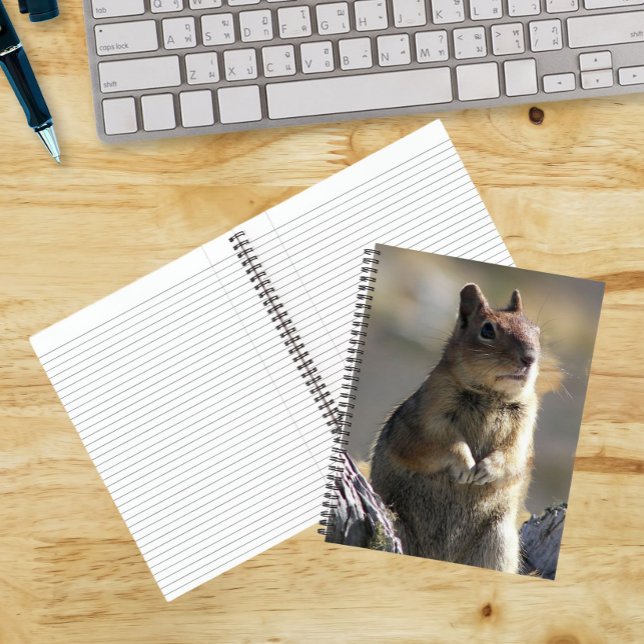 Begging Ground Squirrel Photo Notebook (In Situ)