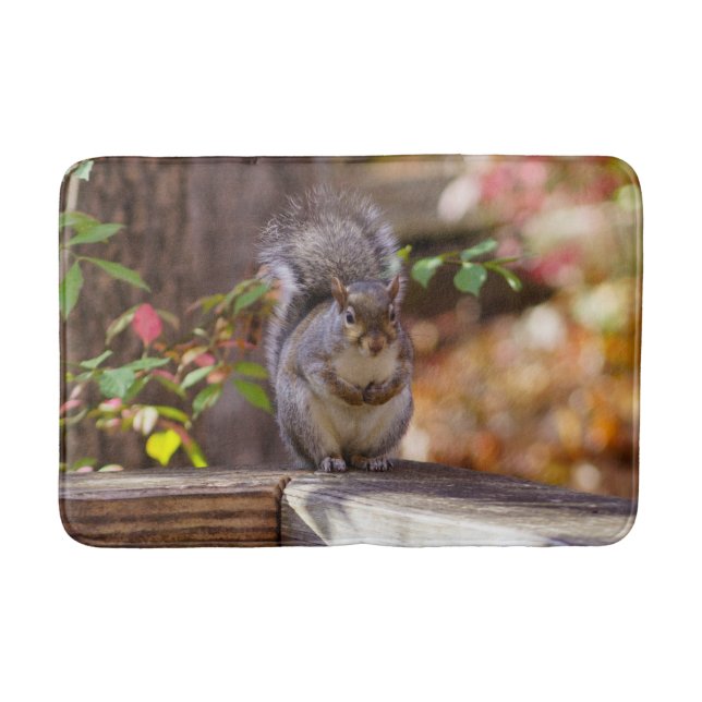 Begging Squirrel Bath Mat (Front)
