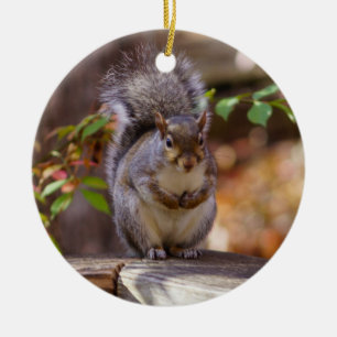 Begging Squirrel Ceramic Ornament