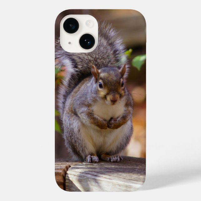 Begging Squirrel iPhone Case (Back)