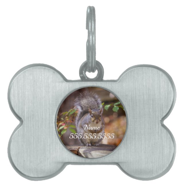 Begging Squirrel Pet ID Tag (Front)