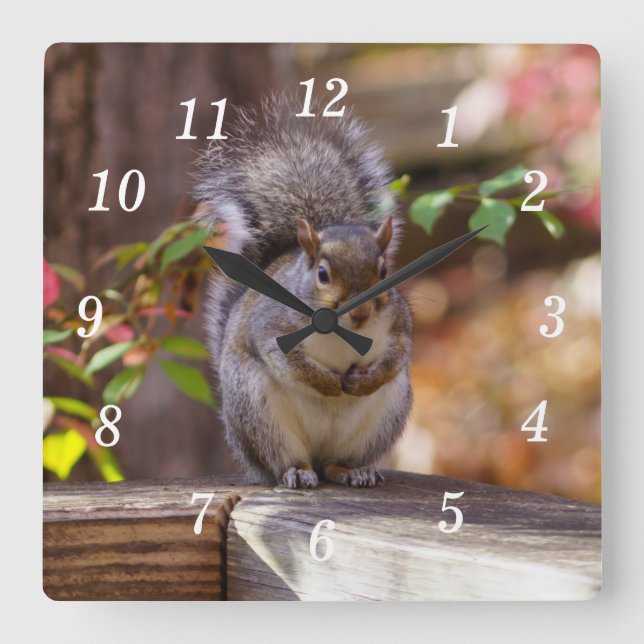 Begging Squirrel Wall Clock (Front)