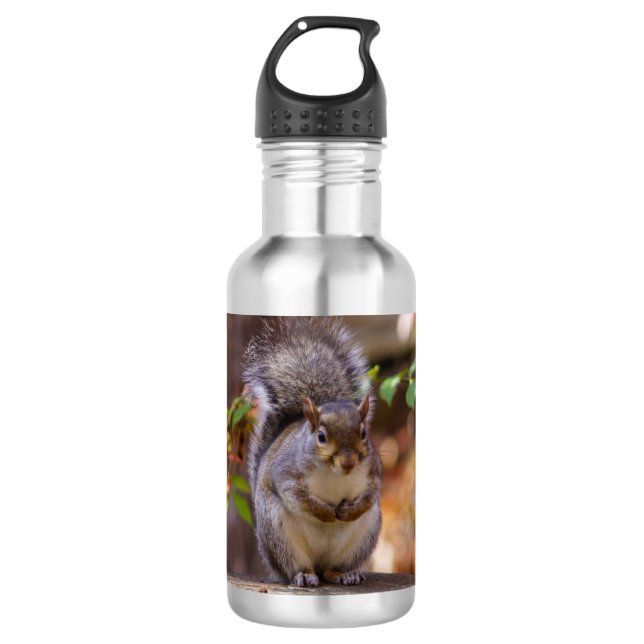 Begging Squirrel Water Bottle (Front)