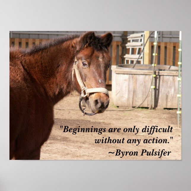 Beginnings Poster (Front)