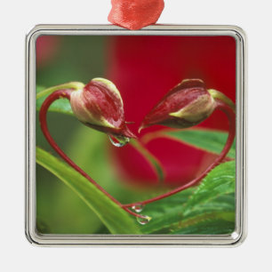 Begonia Buds in heart shape with drops . Credit Metal Ornament