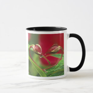 Begonia Buds in heart shape with drops . Credit Mug