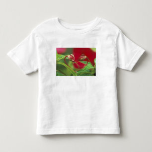 Begonia Buds in heart shape with drops . Credit Toddler T-Shirt