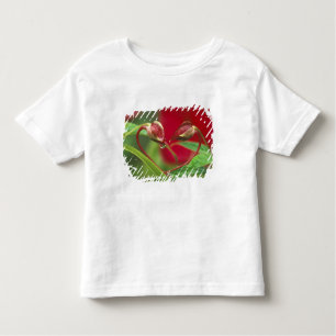 Begonia Buds in heart shape with drops . Credit Toddler T-Shirt