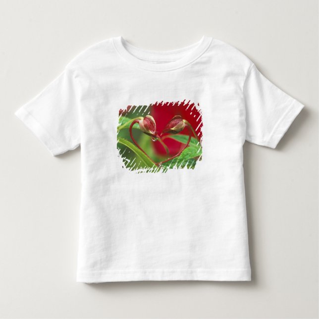 Begonia Buds in heart shape with drops . Credit Toddler T-Shirt (Front)