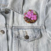 Begonia button (In Situ)