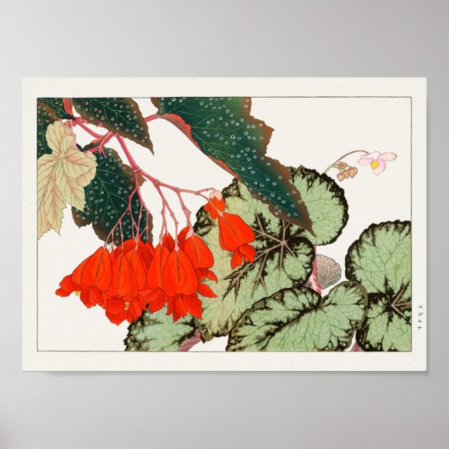 Begonia by Tanigami Konan Poster (Front)