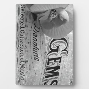 Begonia Gems Pianoforte Plaque