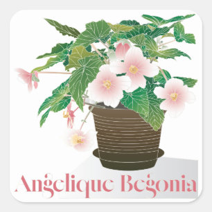 Begonia Stickers