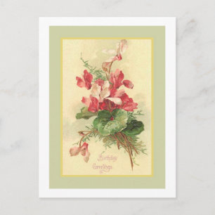 Begonia Vintage Birthday Greetings Postcard