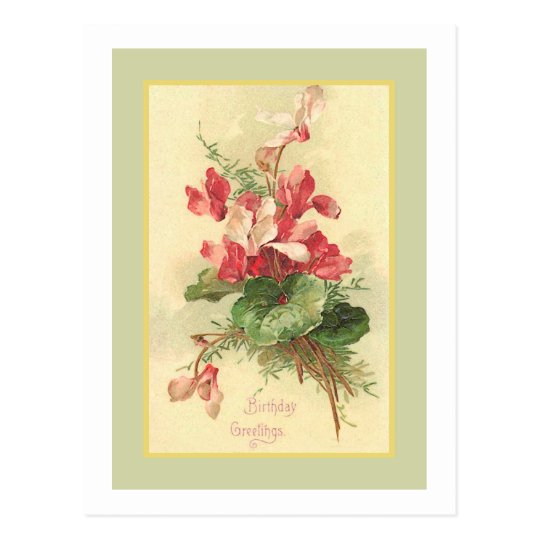 Begonia Vintage Birthday Greetings Postcard