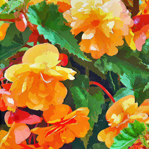 BEGONIAS CERAMIC TILE
